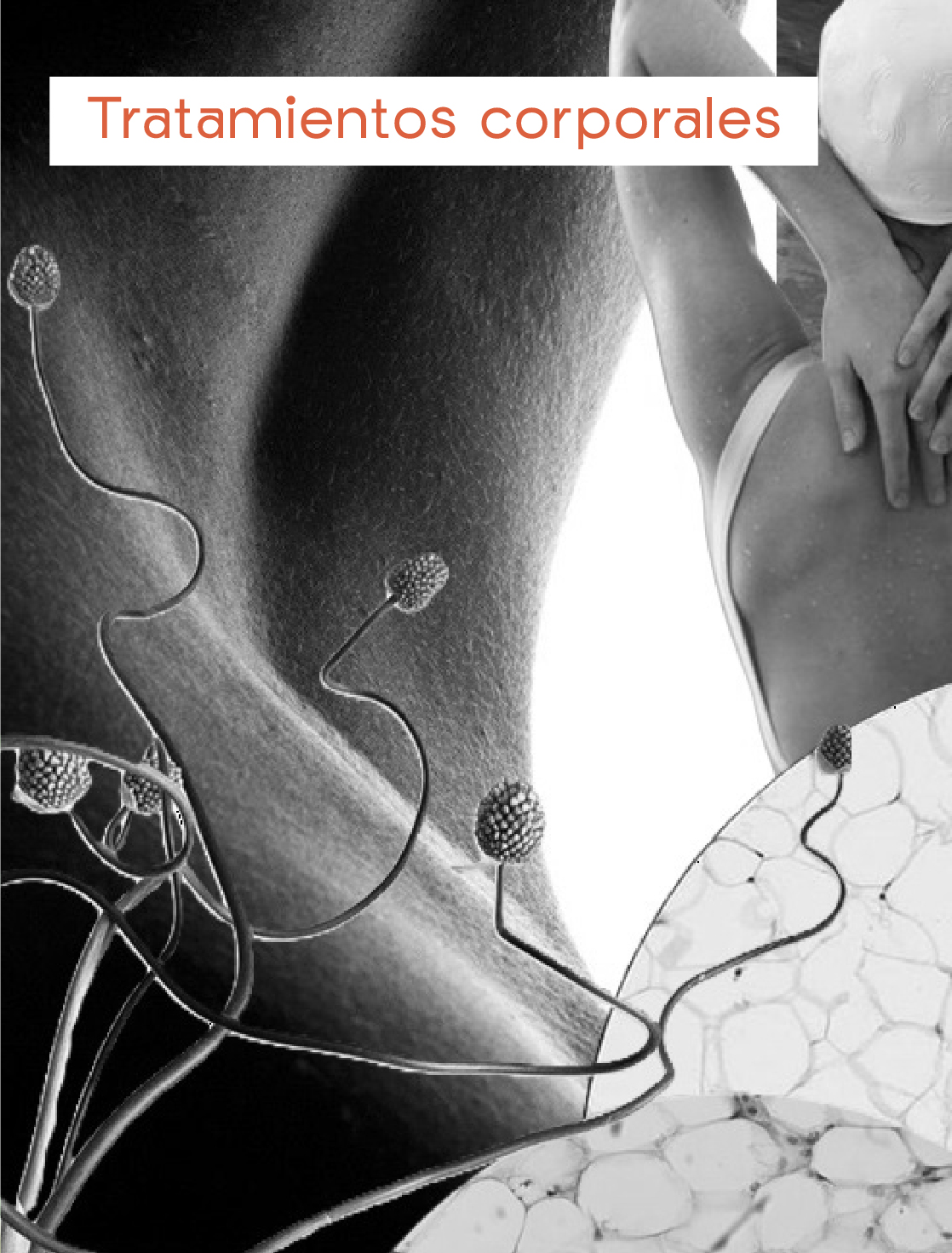 AnaCrespo-cuidadosamedidaMesa de trabajo 36 copia 14@2x-100