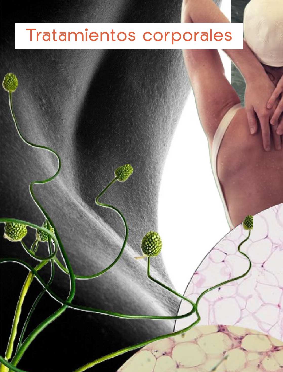 AnaCrespo-cuidadosamedidaMesa de trabajo 36 copia 15@2x-100