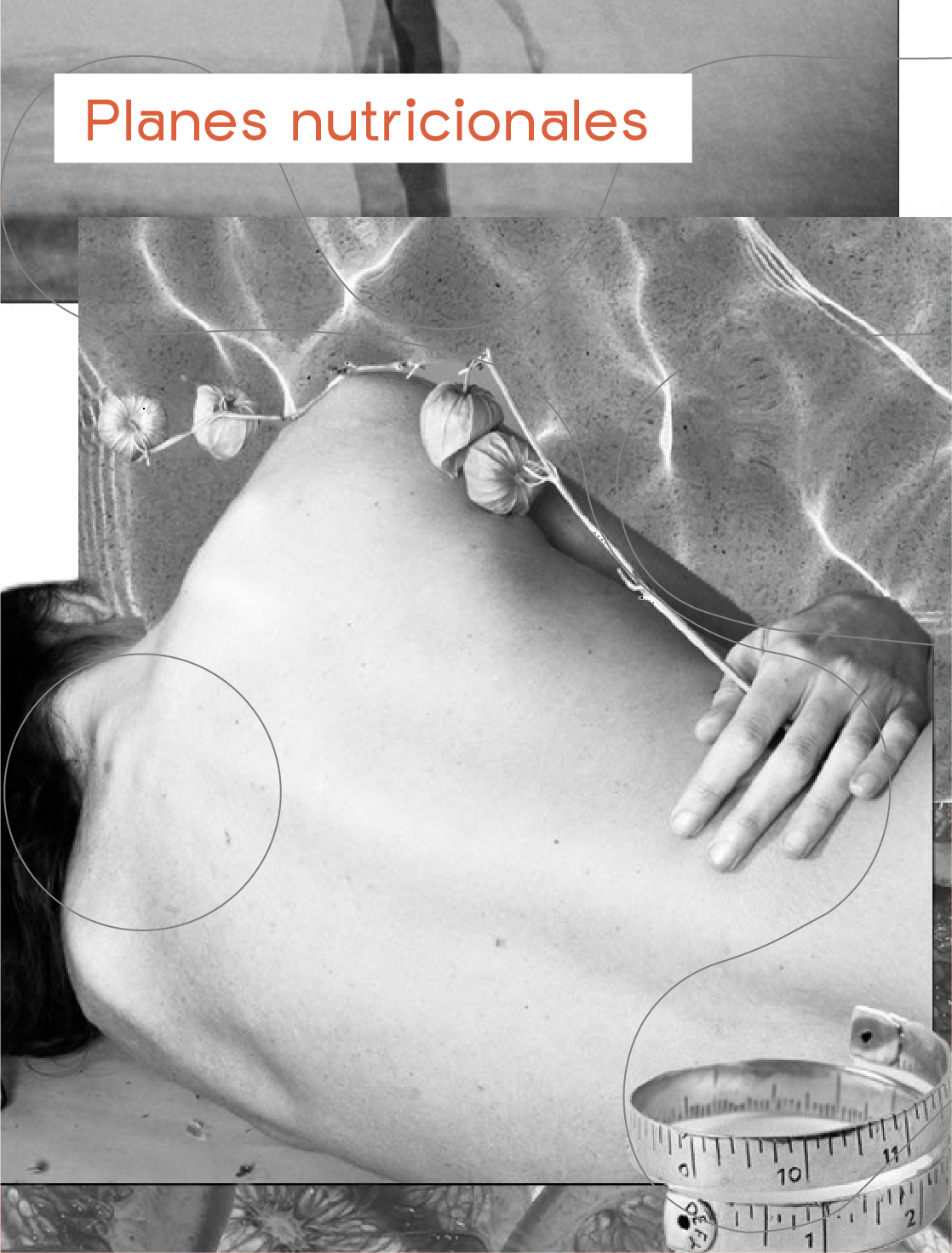 AnaCrespo-cuidadosamedidaMesa de trabajo 36 copia 16@2x-100