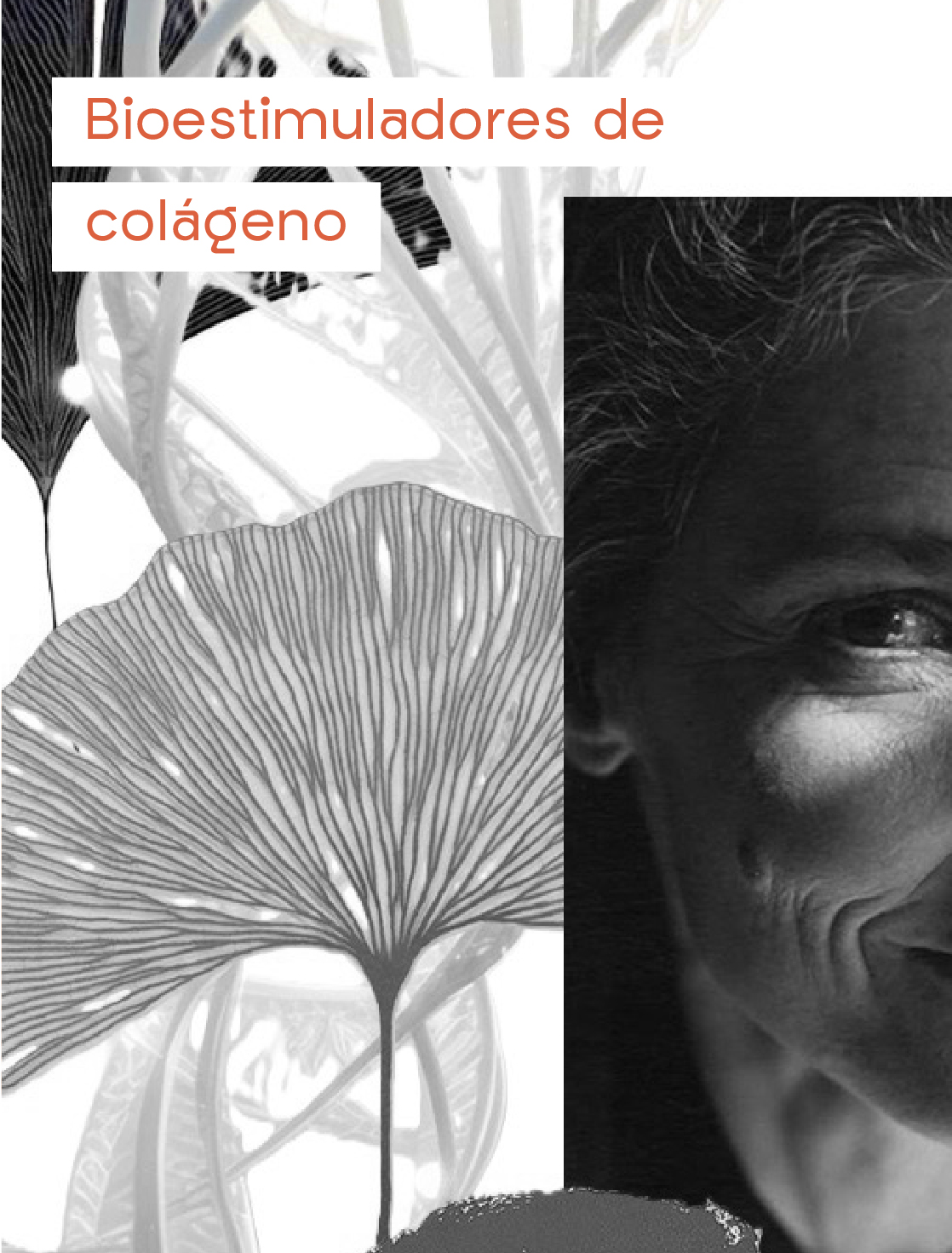 AnaCrespo-cuidadosamedidaMesa de trabajo 36 copia 2@2x-100