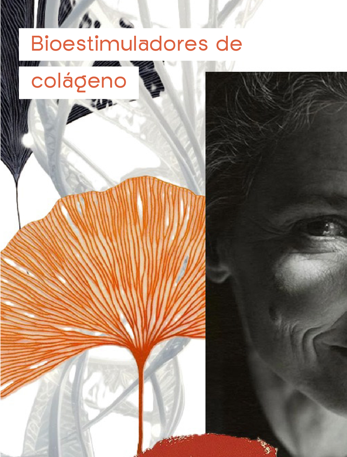 AnaCrespo-cuidadosamedidaMesa de trabajo 36 copia 3@2x-100