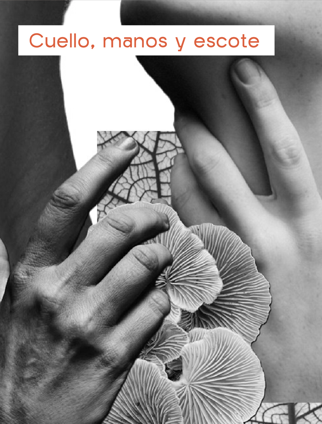 AnaCrespo-servMesa de trabajo 36 copia 10@2x-100