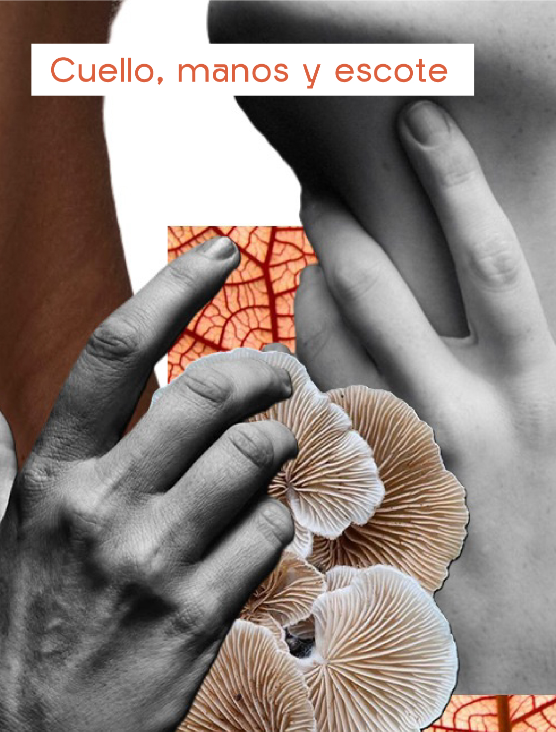 AnaCrespo-servMesa de trabajo 36 copia 11@2x-100