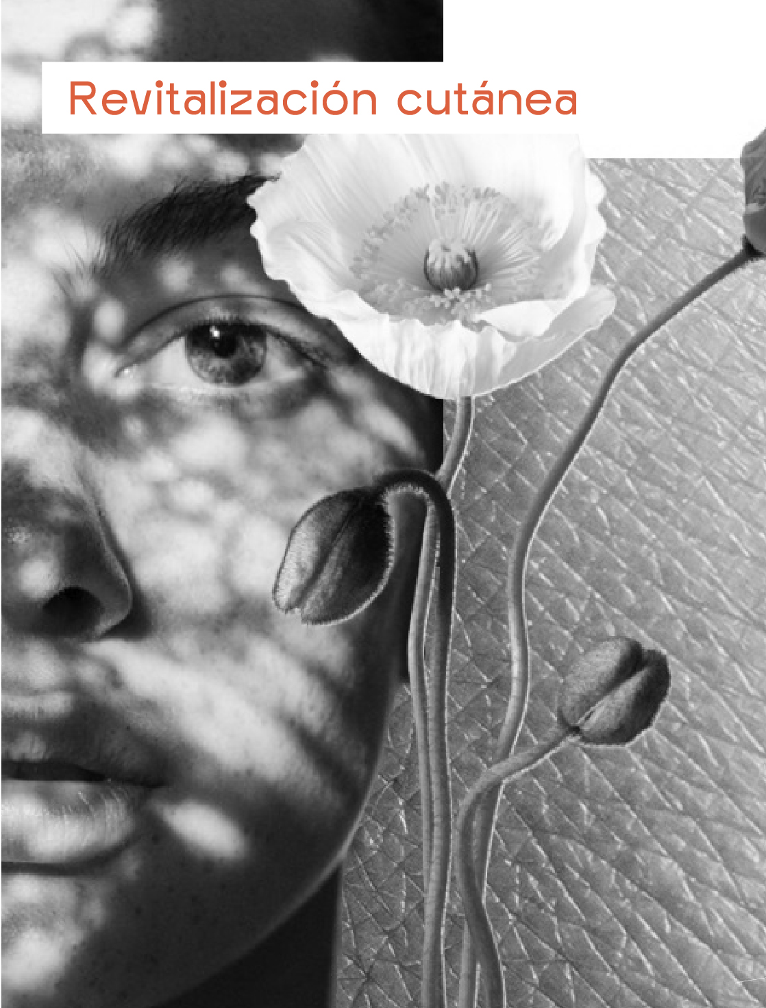 AnaCrespo-servMesa de trabajo 36 copia 4@2x-100