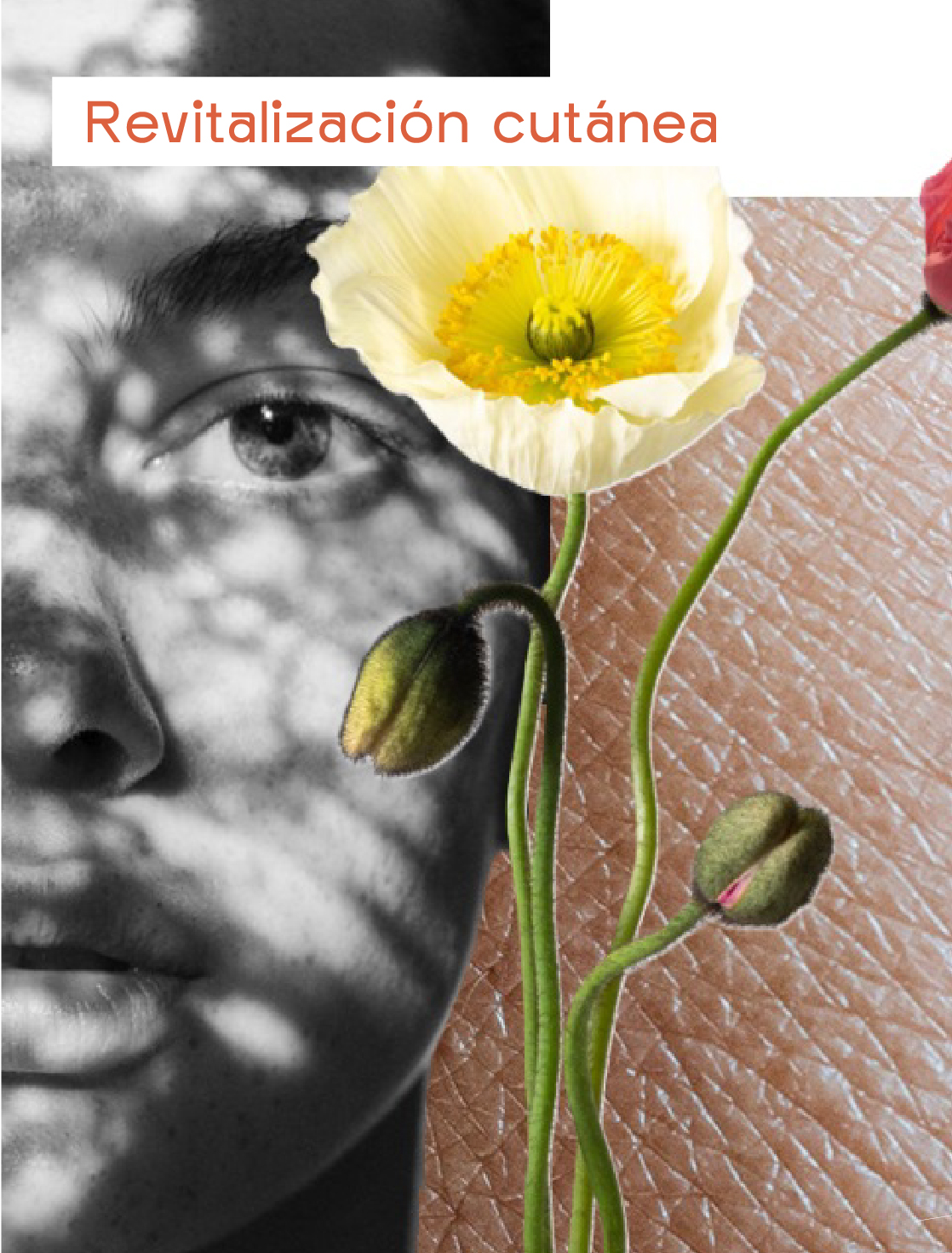 AnaCrespo-servMesa de trabajo 36 copia 5@2x-100