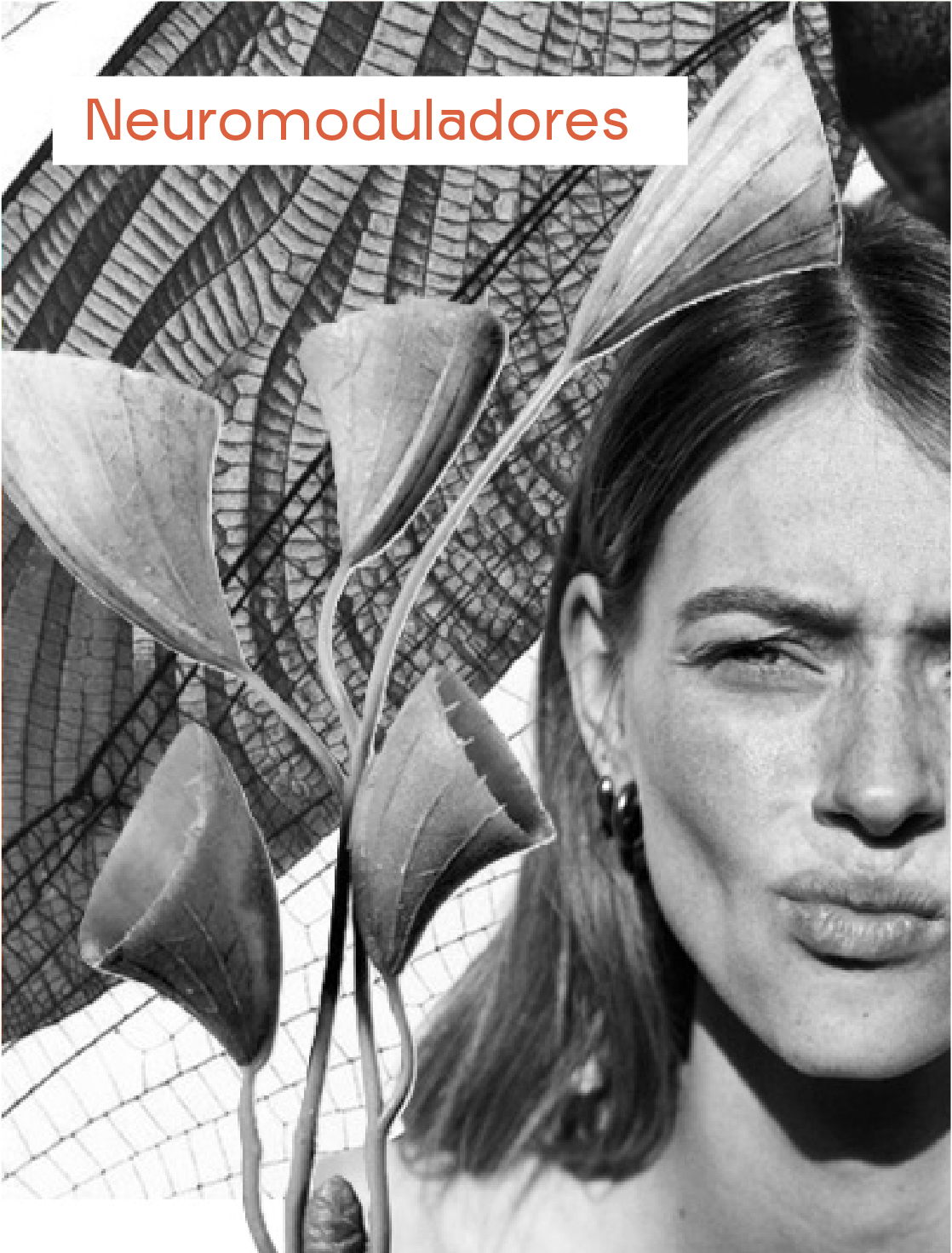 AnaCrespo-servMesa de trabajo 36 copia 6@2x-100