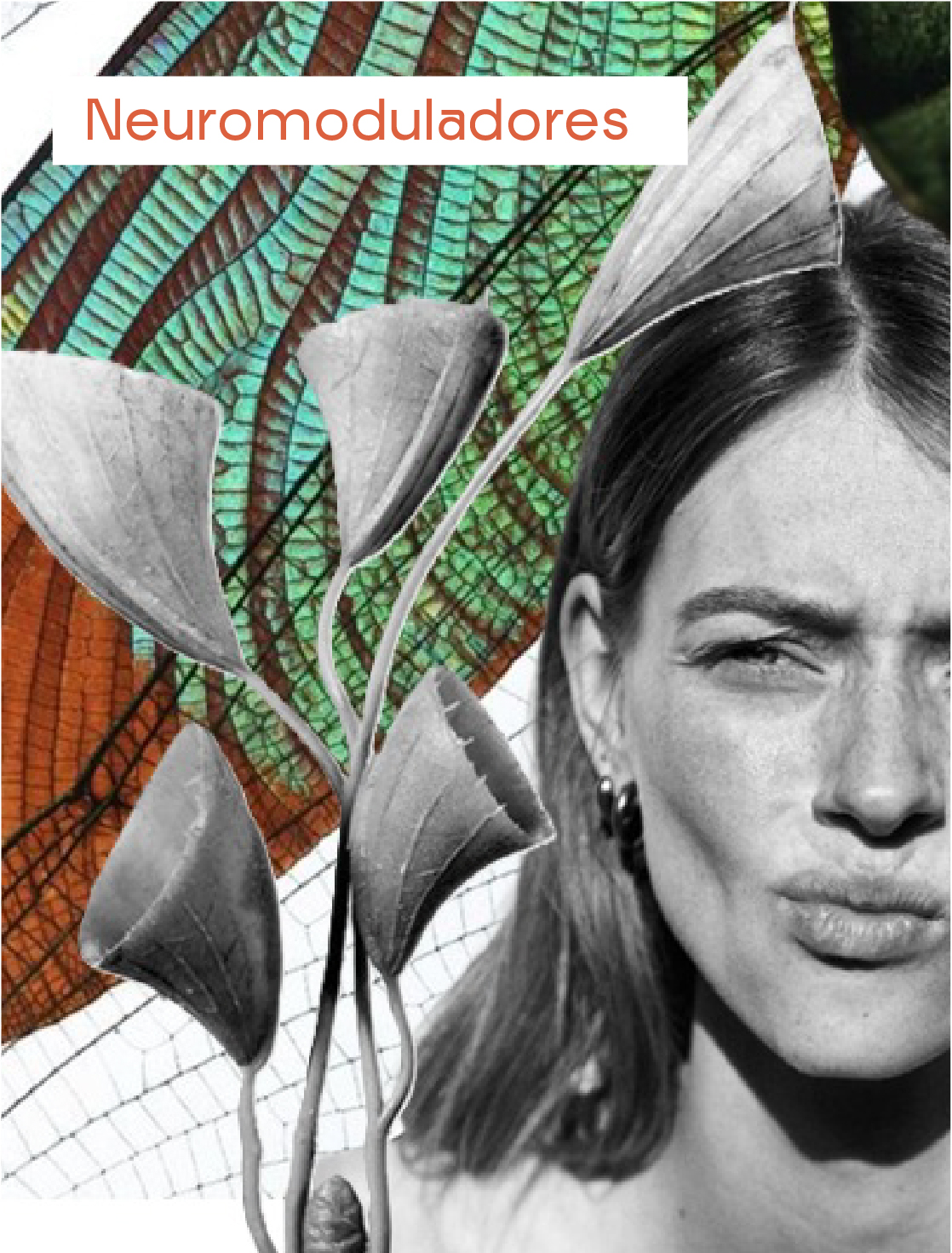 AnaCrespo-servMesa de trabajo 36 copia 7@2x-100