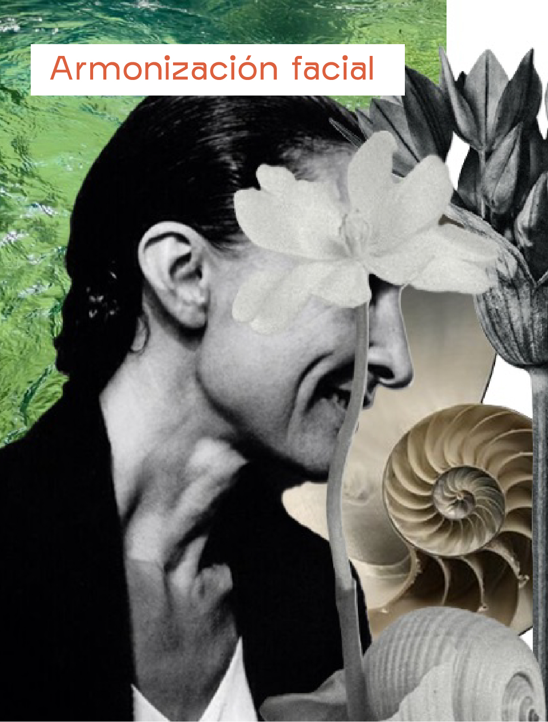 AnaCrespo-servMesa de trabajo 36 copia@2x-100