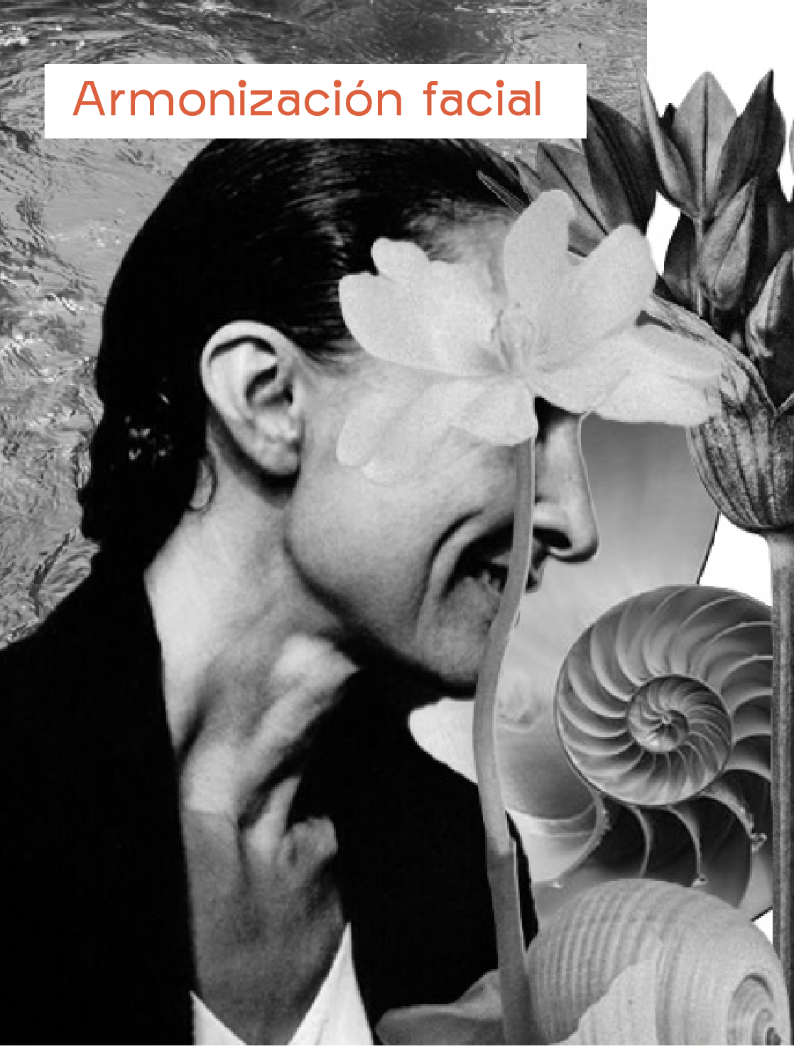 AnaCrespo-servMesa de trabajo 36@2x-100